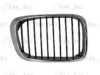 BLIC 6502-07-0061994P Radiator Grille